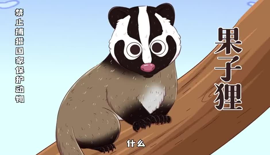 果子狸