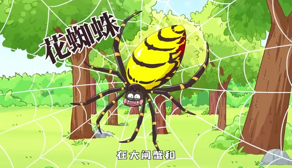 花蜘蛛