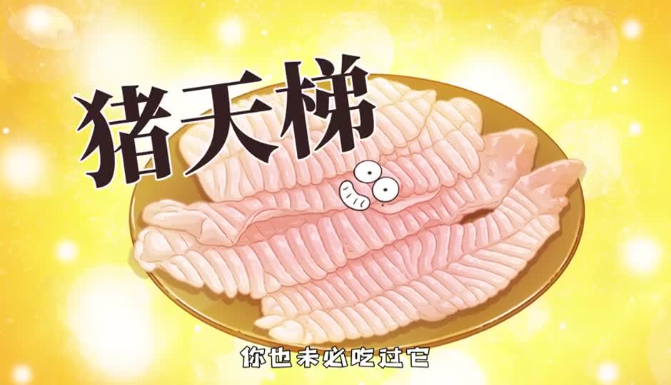 猪天梯