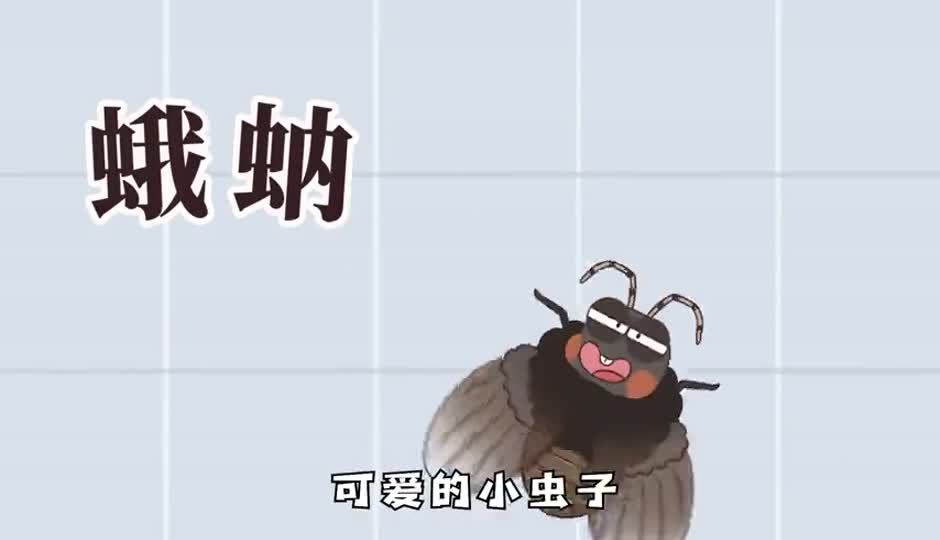 蛾蚋
