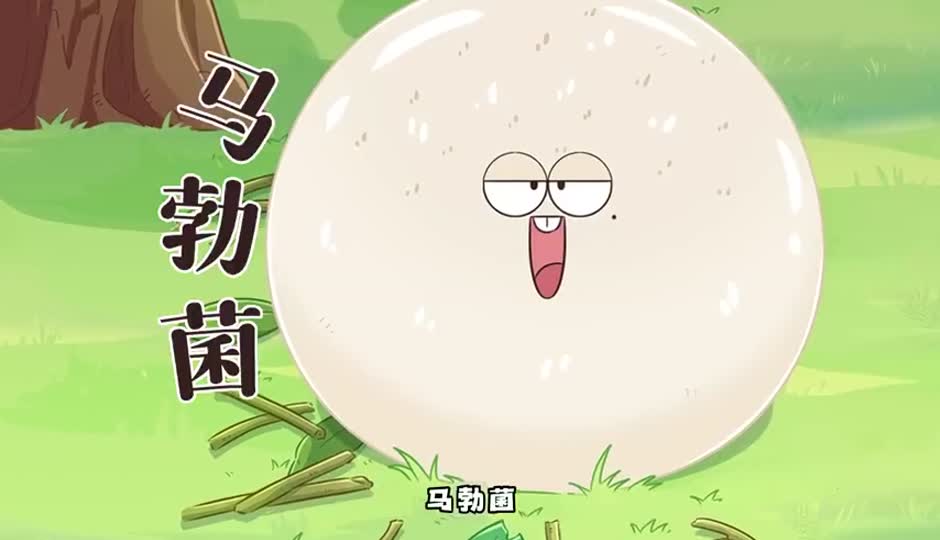 马勃菌