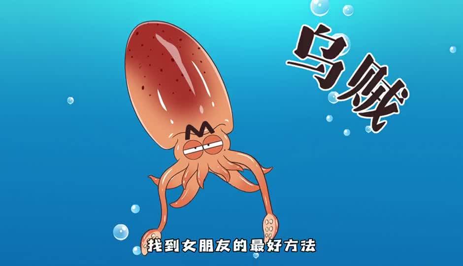 乌贼