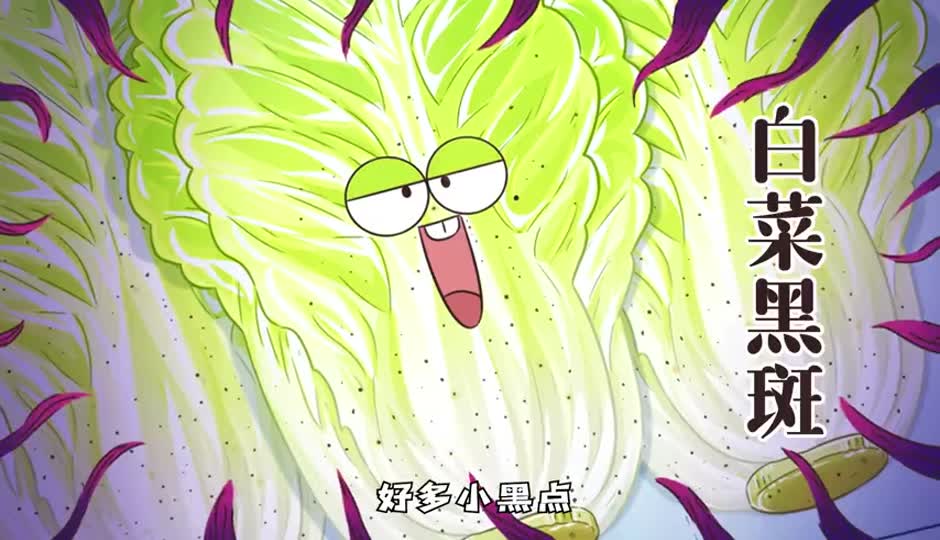 白菜黑斑