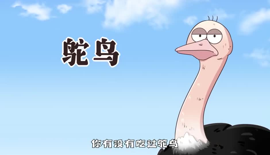 鸵鸟