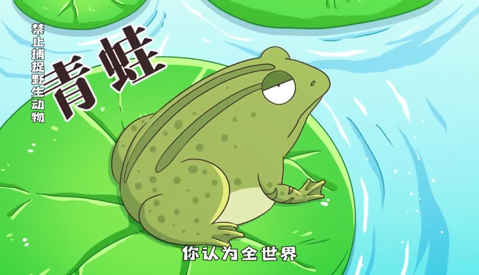 青蛙
