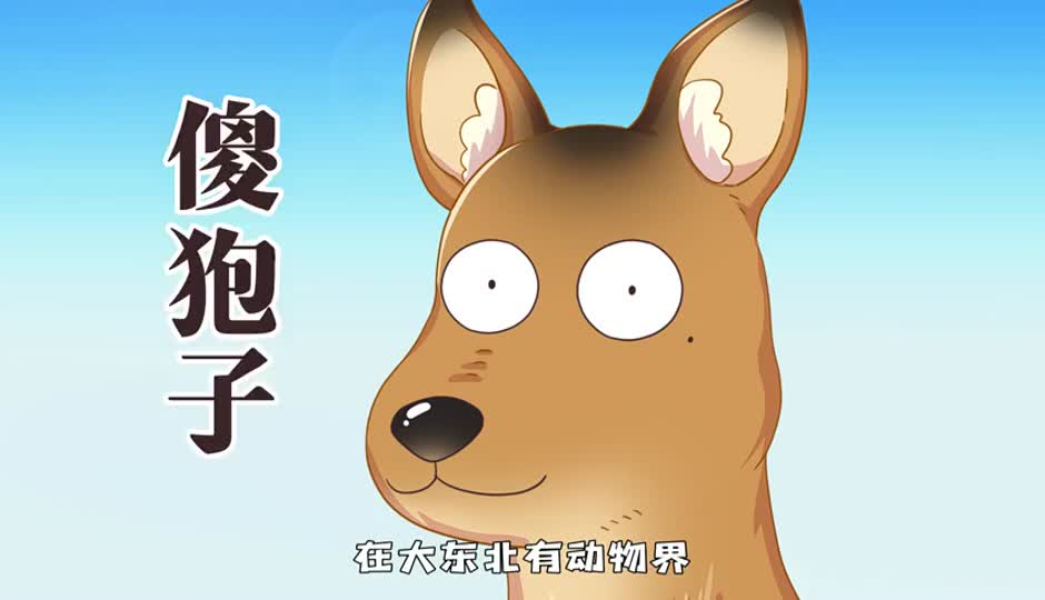 傻狍子