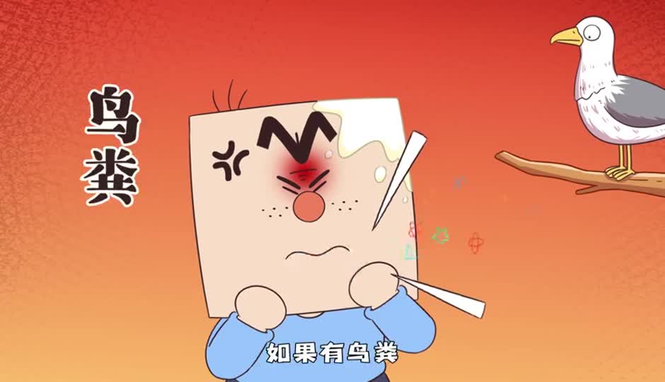 鸟粪