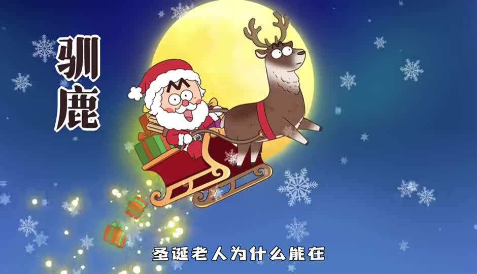 驯鹿