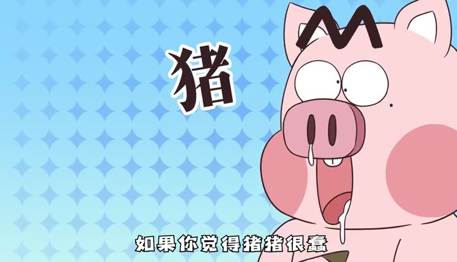 猪