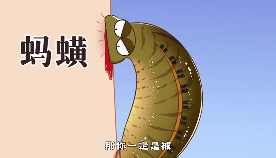 蚂蟥