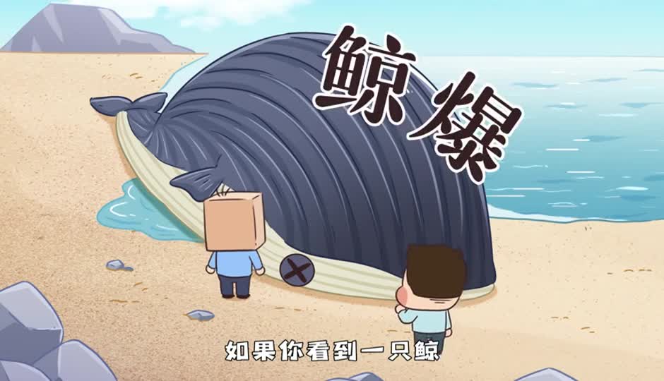 鲸爆