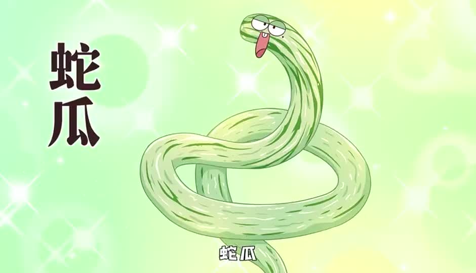 蛇瓜