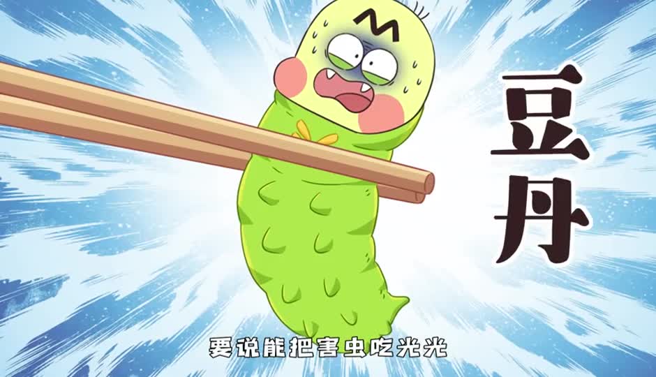 豆虫