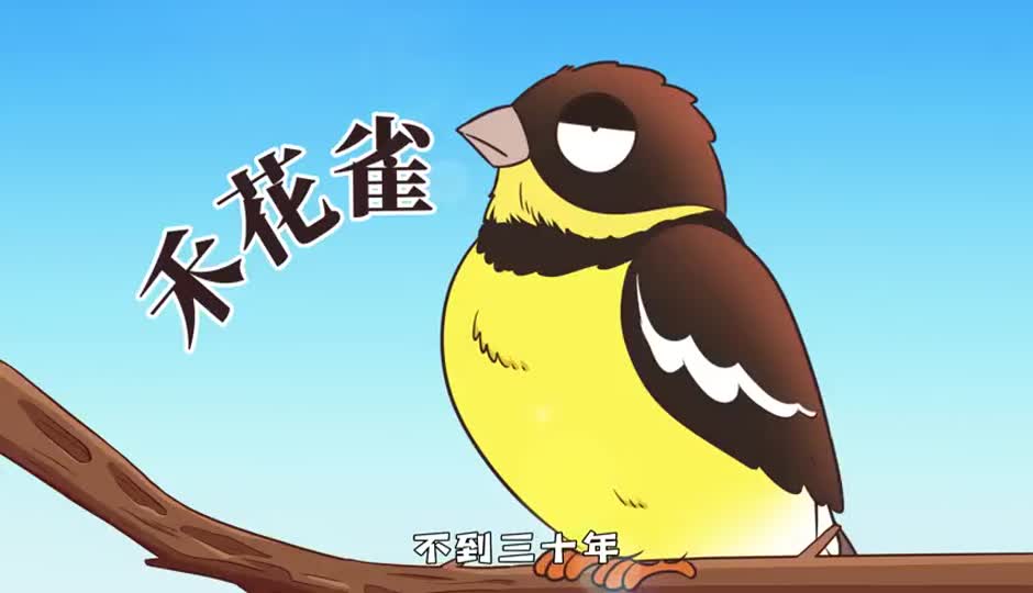 禾花雀