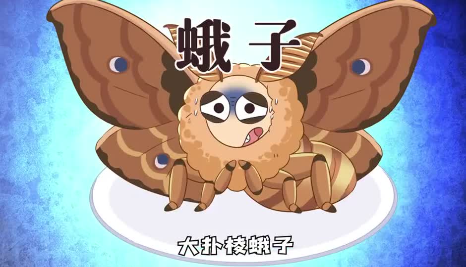蛾子