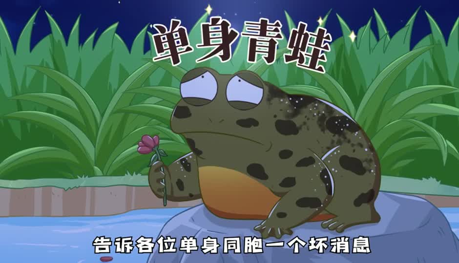 单身青蛙
