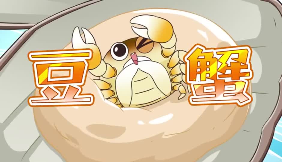 豆蟹