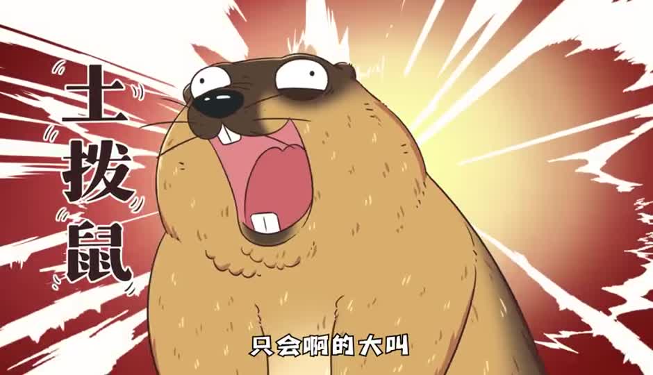 土拨鼠