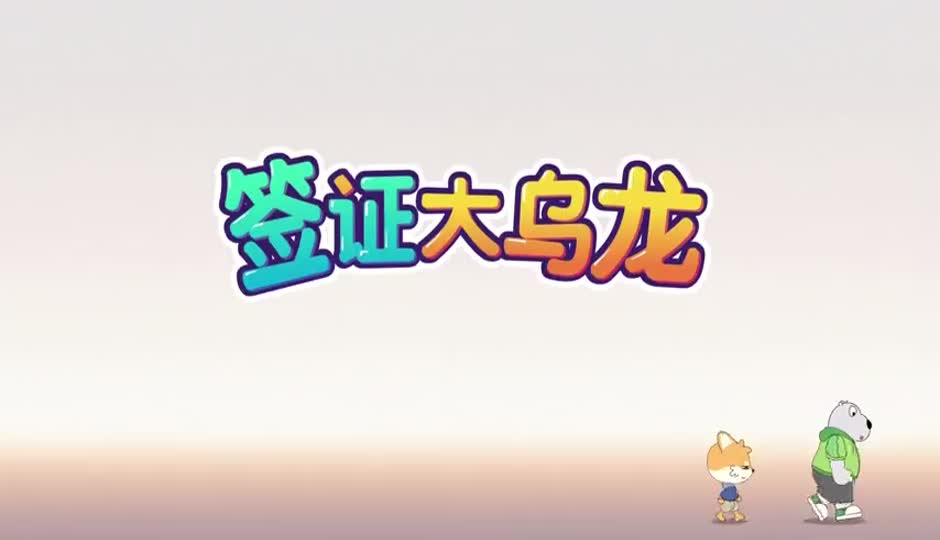签证大乌龙