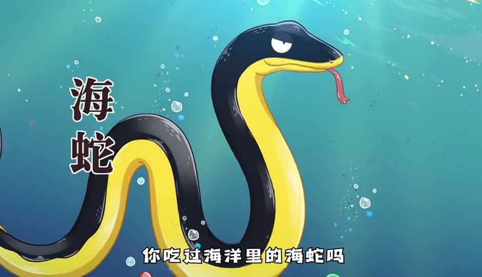海蛇