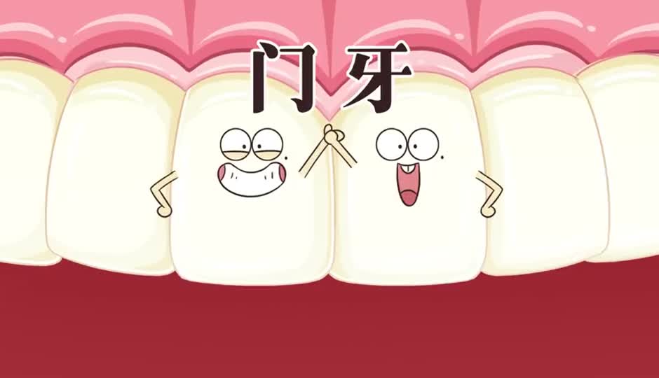 门牙