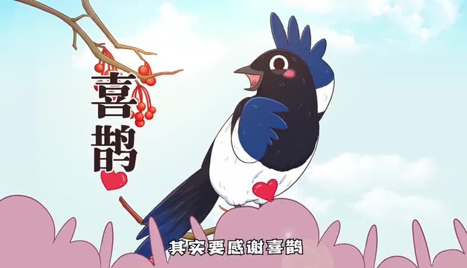 喜鹊
