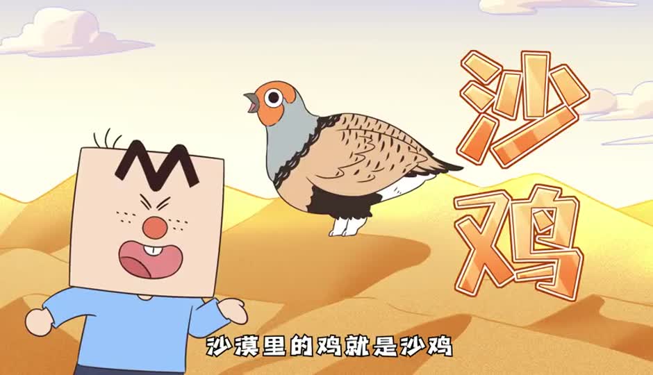 毛腿沙鸡