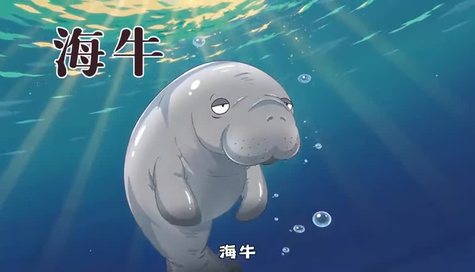 海牛