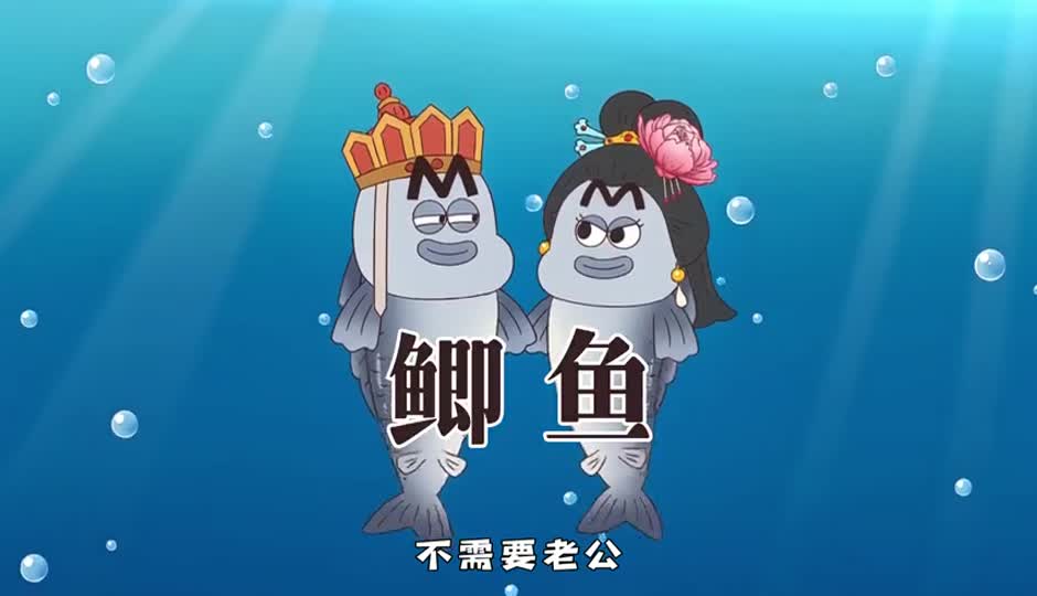 鲫鱼