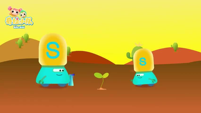 认识字母S