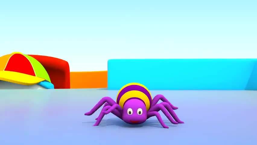 蜘蛛 Spider