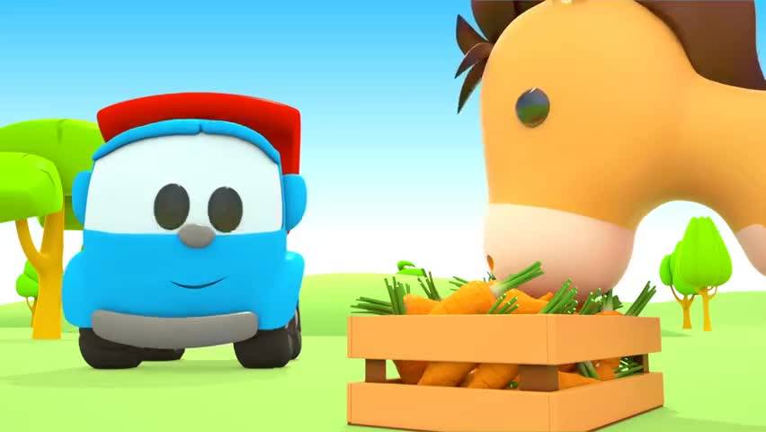 农场里的动物 Animals on the Farm