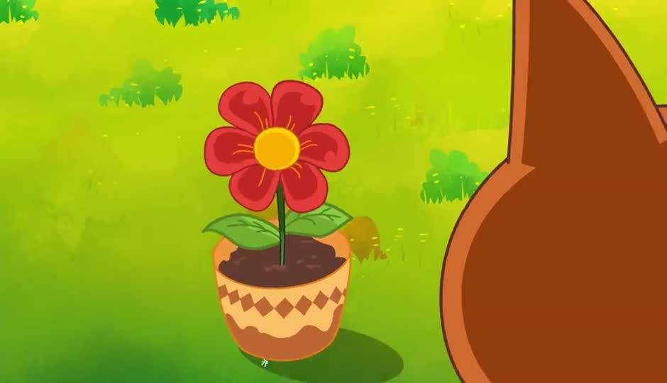 窗下一朵大红花
