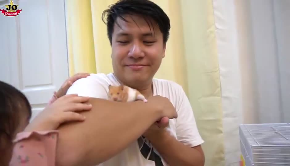 宠物大挑选 狗狗 猫咪 仓鼠 谁会成为我的家庭的一员