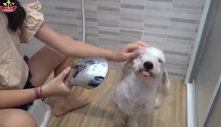 第一次帮狗狗洗澡！