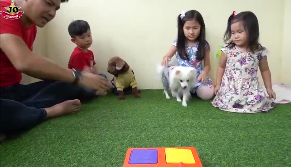 狗狗零食挑战 亲子互动游戏和狗狗玩耍
