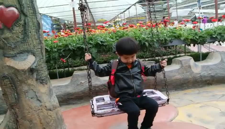 旅行金马伦高原 薰衣草花园 采草莓 家族旅行