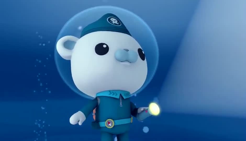 白化座头鲸
