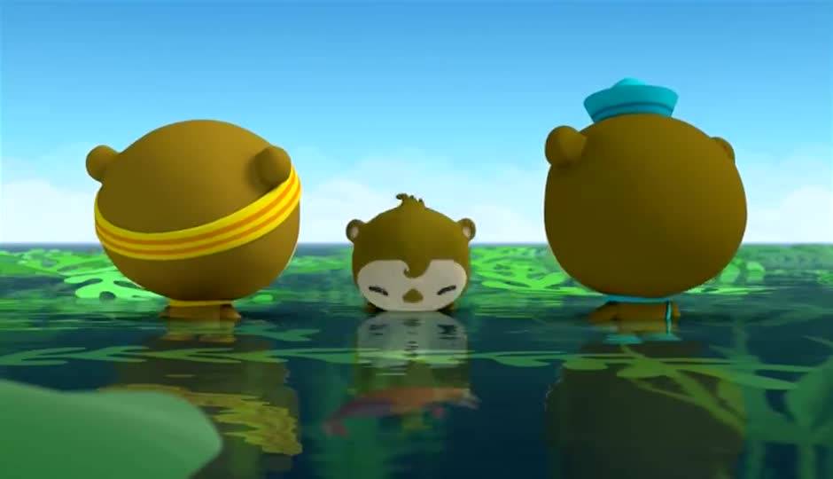 海胆入侵