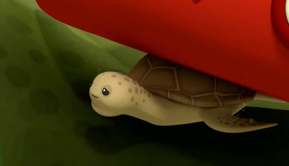 红海龟