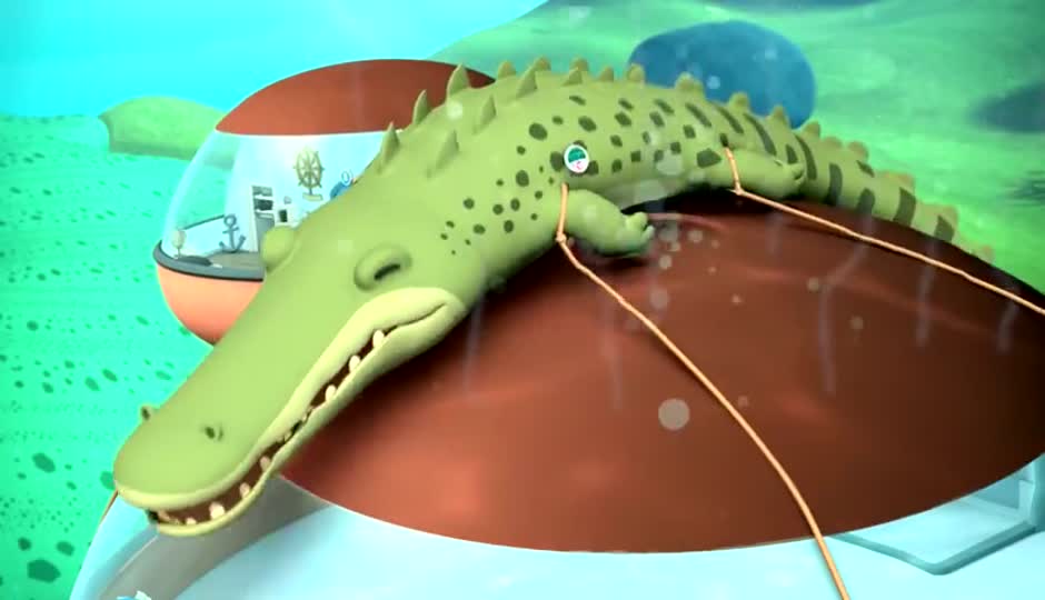 湾鳄