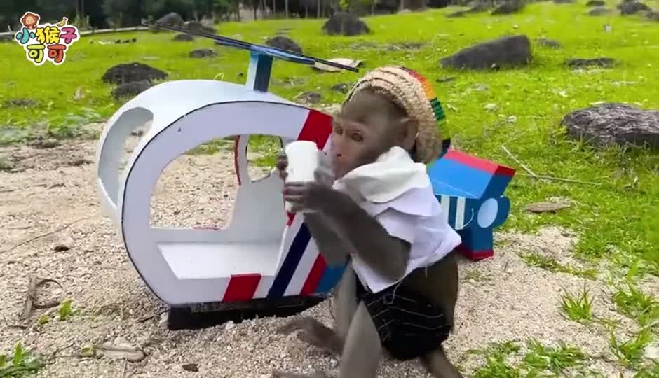 可可运输西瓜