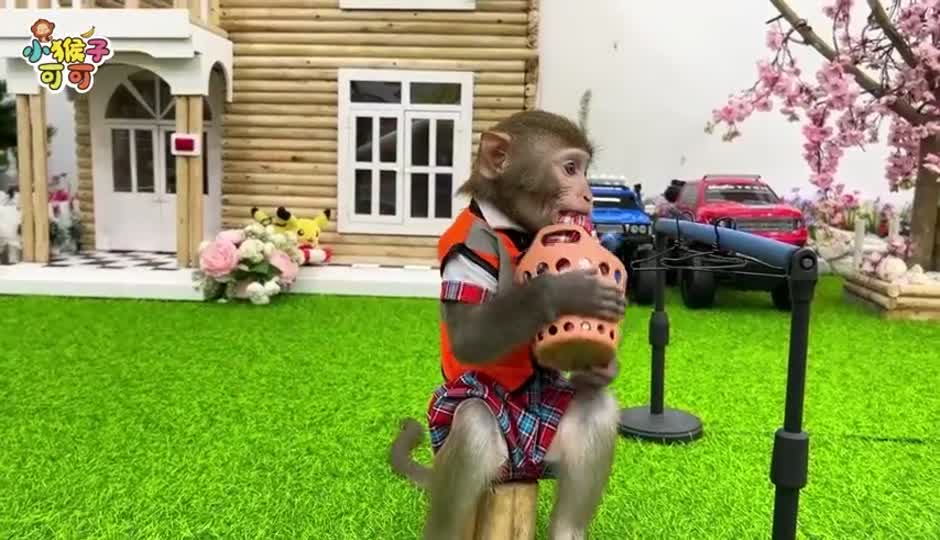 可可打扫卫生
