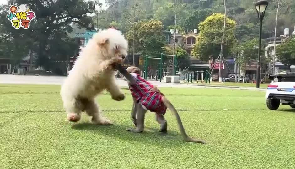 一起吃西瓜