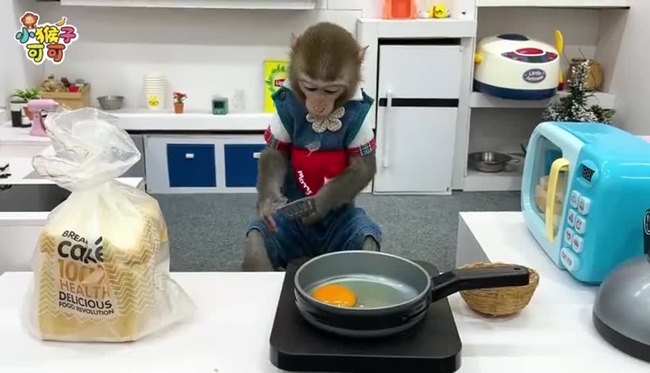 可可与鸭蛋