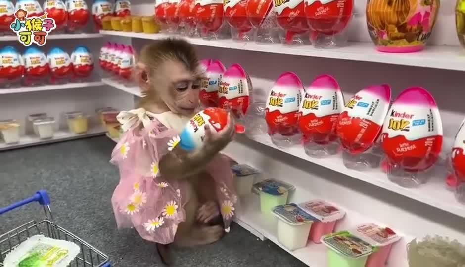 精彩的一天
