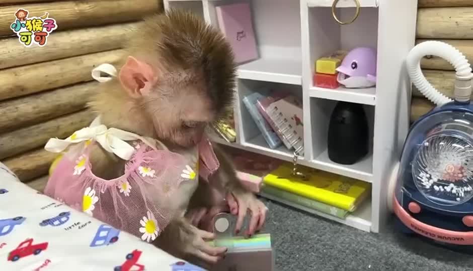 一起去春游
