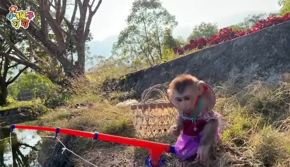 可可去钓鱼