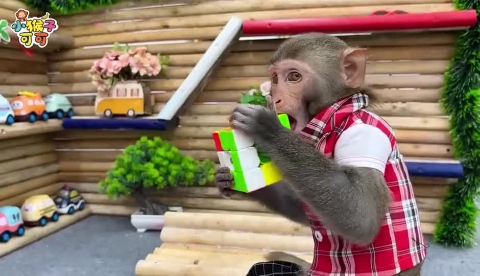 可可的惊喜拆拆乐