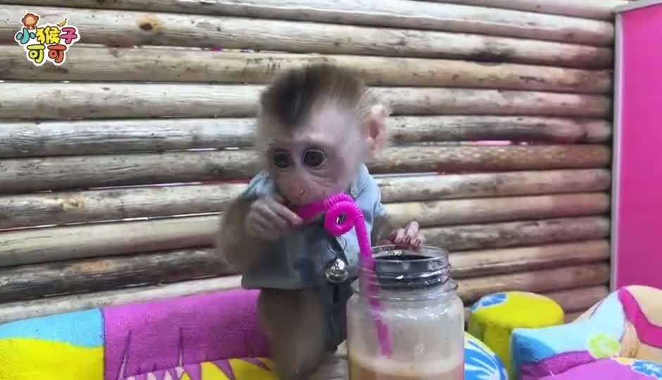 可可制作果汁